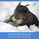 ���� ��, ������� - ��������� 10 ���� 2014 � ������ ������ ��������