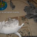  Marina,  -  18  2014    