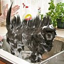 ���� �������, ��������� - ��������� 6 ���� 2014 � ������ ������ ��������