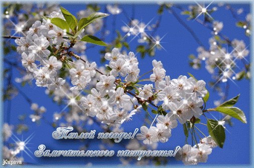 ������ ������ ������� �����, ������� � ������� ������... �����, �� ����� � ���-�� ������, ������� ...