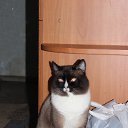  ,  , 56  -  16  2014