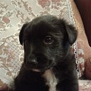 ���� �������, ������, 48 ��� - ��������� 17 ���� 2014 � ������ ���� ����������