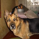 ���� �������, ������, 69 ��� - ��������� 28 ������ 2014 � ������ ������ ��������