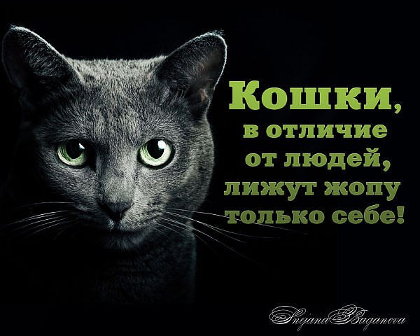  - 30  2014  15:38