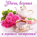 ���� ��������, �������������, 36 ��� - ��������� 16 ���� 2014 � ������ ���� ����������