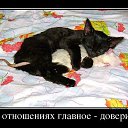 ���� ���������, �����, 53 ���� - ��������� 11 ������ 2014 � ������ ������ ��������