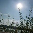 ���� �����, ������� - ��������� 18 ������� 2014 � ������ �17.08.2014�.�