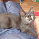 ����� 2013 ���� �� ������� ���� �������