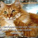 ���� �������, ������-��-���� - ��������� 20 ������� 2014 � ������ ���� ����������