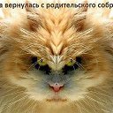 ���� �������, ���������, 48 ��� - ��������� 23 ������ 2014 � ������ ������ ��������