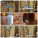 ���� Paul, ������, 34 ���� - ��������� 9 ���� 2014 � ������ ������ ��������