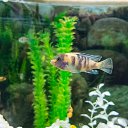  , , 46  -  24  2014      &quot; &quot;