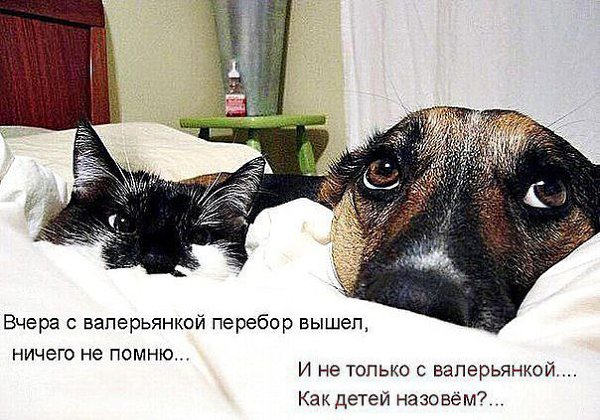 �������� - 19 ���� 2014 � 09:49