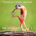 ���� ������, ������� �����, 47 ��� - ��������� 10 ���� 2014 � ������ ������ ��������