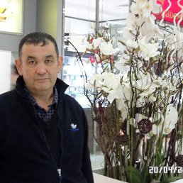 Rahmetullah, ������, 63 ����