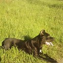 ���� Anuli, ������� - ��������� 8 ��� 2014 � ������ �������