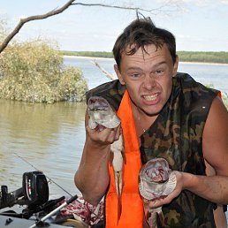 ���� ������, ������, 39 ��� - ��������� 3 ������� 2014