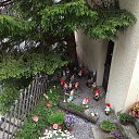 ���� Seagul, ������, 56 ��� - ��������� 8 ���� 2014 � ������ ���� ����������