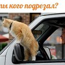 ���� �������, ������� - ��������� 8 ������ 2014 � ������ ������ ��������
