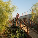 ���� �����, ������ - ��������� 8 ������� 2014 � ������ ���� ����������