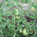 ���� ������, ������ - ��������� 14 ���� 2014 � ������ ����� 2014�