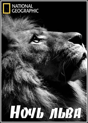  . (Night of The Lion)  ,      . , ...