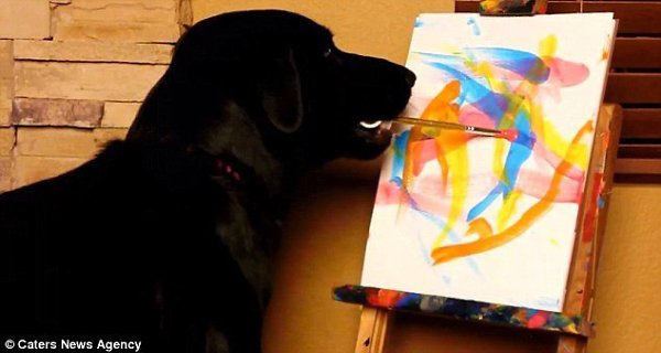 АРТ. Талантливый метис Арбо, спасенный на улицах Лас-Вегаса, и его работы. На создание каждой уходит ... - 4