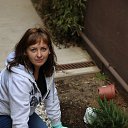 ���� �������, ����������� - ��������� 5 ������ 2014 � ������ ���� ����������