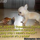 ���� ���� �-238, ������ - ��������� 12 ���� 2014 � ������ ������ ��������