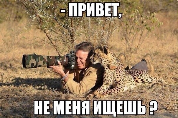    :D - 14  2014  15:57