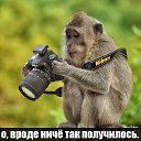 ���� �eartless, ������� - ��������� 15 ��� 2014 � ������ ������ ��������