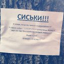 ���� ������, �����-��������� - ��������� 25 ������ 2014 � ������ ������ ��������