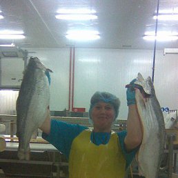 ���� �������, ������� - ��������� 16 ���� 2014