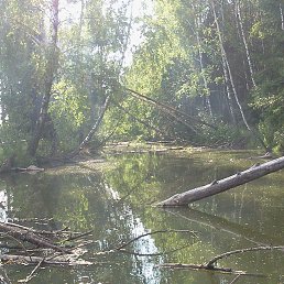 ���� ������, ���������, 57 ��� - ��������� 18 ���� 2014