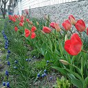 ���� �������, ������, 58 ��� - ��������� 20 ������ 2014 � ������ ��������