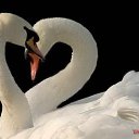 ���� &hearts; ������� &hearts;, ������ - ��������� 3 ������� 2014 � ������ ������ ��������