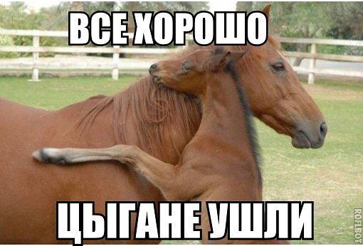 �������������� �� ���� �������� <a href=
