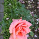 ���� �����, ������ �������� - ��������� 28 ���� 2014 � ������ �2014 ��