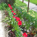  ,  -  26  2014     .