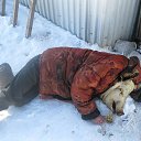 ���� �������, �����-���������, 43 ���� - ��������� 30 ���� 2014