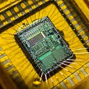 ���� �����, ������������, 43 ���� - ��������� 25 ���� 2014 � ������ ������ ��������