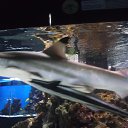 ���� ����, ��������� - ��������� 10 ������� 2014 � ������ ���� ����������