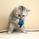 ���� ����, �����������, 28 ��� - ��������� 28 ��� 2014 � ������ ������ ��������