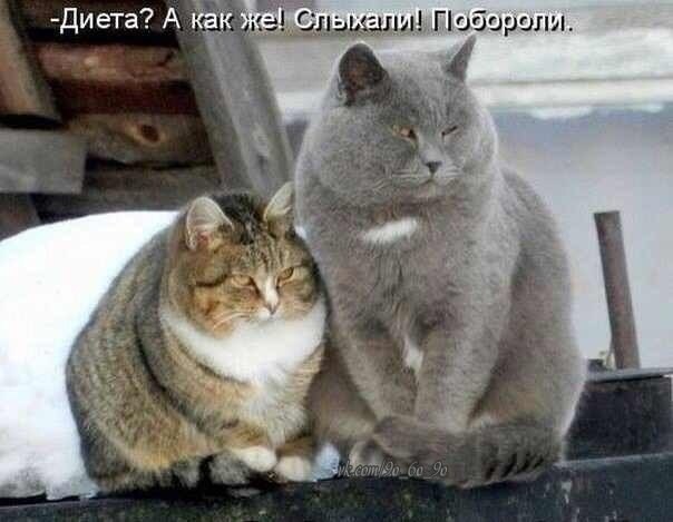 ���� � ������� - 11 ���� 2014 � 16:22