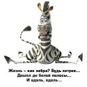 ���� ������, ���������, 46 ��� - ��������� 13 ���� 2014 � ������ ������ ��������