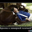 ���� �������, ���������� ����� - ��������� 22 ���� 2014 � ������ �������