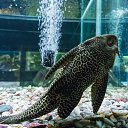  , , 46  -  24  2014      &quot; &quot;