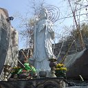  , , 41  -  29  2014   ~    @ ~