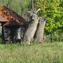 ���� �����, ������������ - ��������� 13 ������ 2014 � ������ �������� ��������