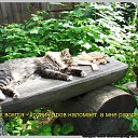 ���� ����, ������ - ��������� 10 ������ 2014 � ������ ���� ����������